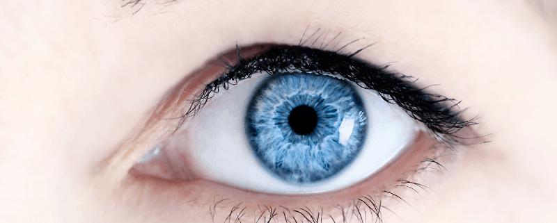 Овладяването на макулната дегенерация