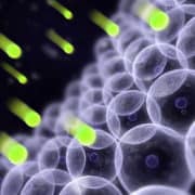 Свободни радикали