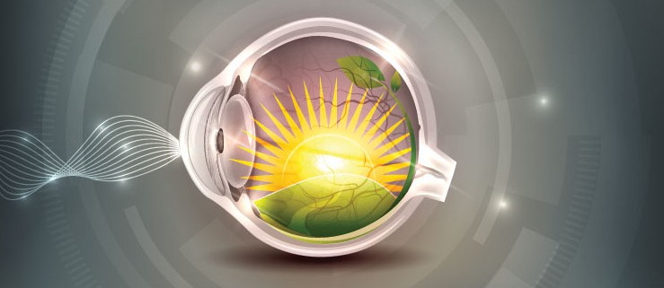 очни заболявания