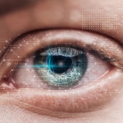 човешко око