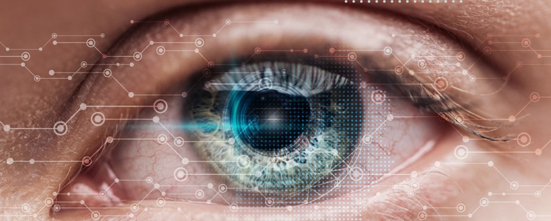 човешко око