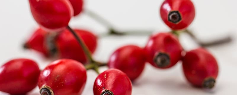 храна за очите